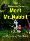 Shadow and Friends Meet Mr. Rabbit cover