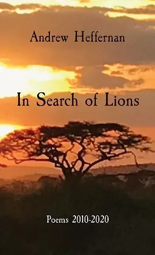 In Search of Lions cover