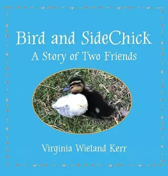 Bird and SideChick cover