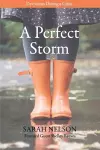 A Perfect Storm cover