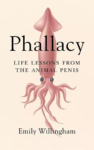 Phallacy cover