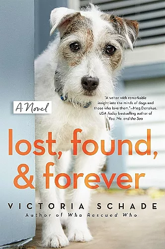 Lost, Found, And Forever cover