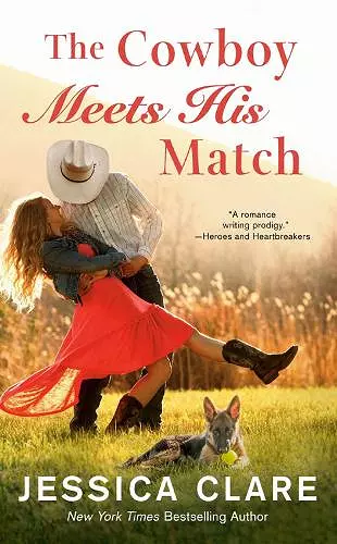 The Cowboy Meets His Match cover
