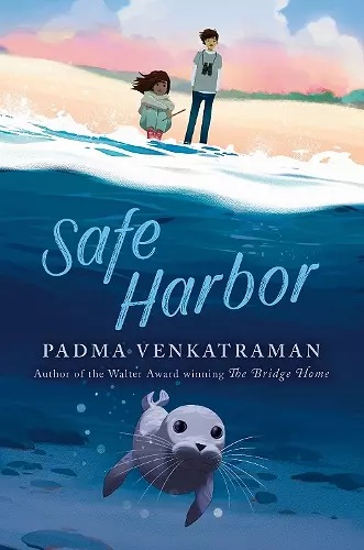 Safe Harbor cover