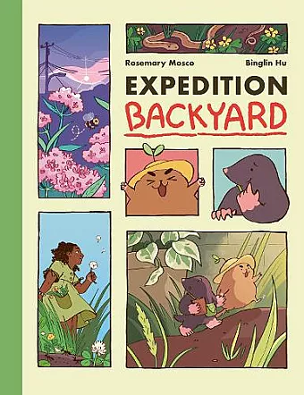 Expedition Backyard cover