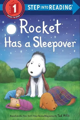 Rocket Has a Sleepover cover