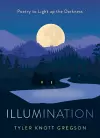 Illumination cover