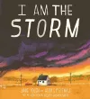 I Am the Storm cover