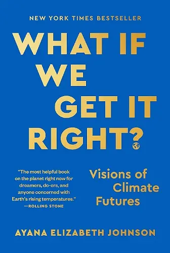 What If We Get It Right? cover