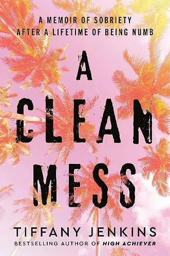 A Clean Mess cover