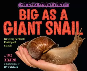 Big as a Giant Snail cover