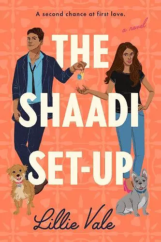 The Shaadi Set-Up cover