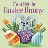 If You Met the Easter Bunny cover