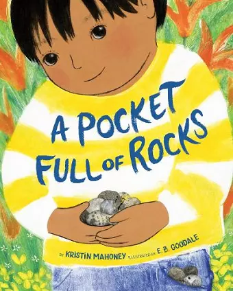 A Pocket Full of Rocks cover