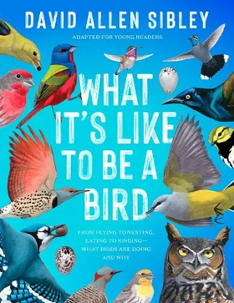 What It's Like to Be a Bird (Adapted for Young Readers) cover