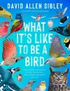 What It's Like to Be a Bird (Adapted for Young Readers) cover