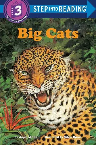 Big Cats cover