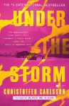 Under the Storm cover