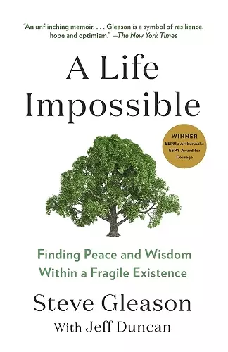 A Life Impossible cover