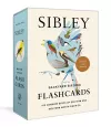 Sibley Backyard Birding Flashcards, Revised and Updated cover