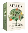 Sibley Tree Identification Flashcards cover