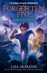 Dangerous Allies (The Forgotten Five, Book 4) cover