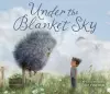 Under the Blanket Sky cover