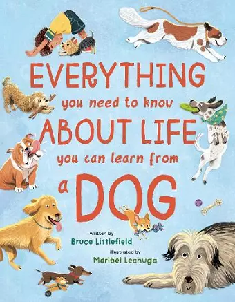 Everything You Need to Know About Life You Can Learn from a Dog cover
