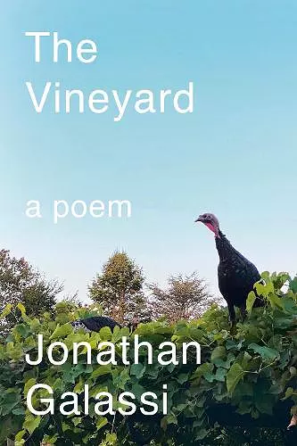 The Vineyard cover