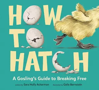 How to Hatch cover