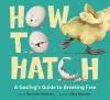 How to Hatch cover