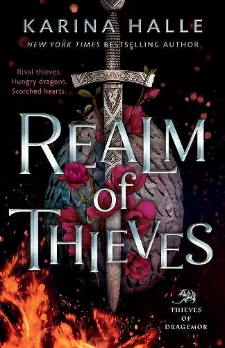 Realm of Thieves cover