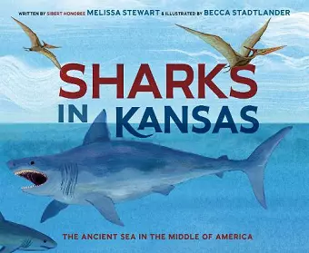 Sharks in Kansas cover