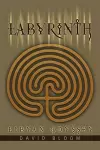 Labyrinth cover