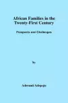 African Families in the Twenty-First Century cover