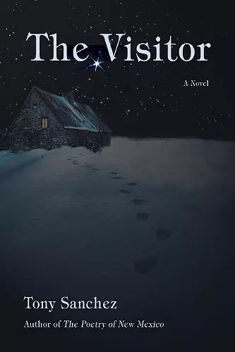 The Visitor cover