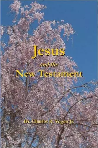 Jesus and the New Testament cover