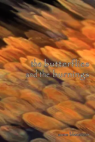 The Butterflies and the Burnings cover