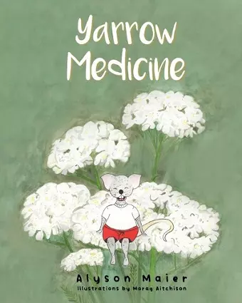 Yarrow Medicine cover