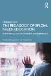 The Pedagogy of Special Needs Education cover