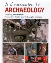 A Companion to Archaeology cover