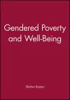 Gendered Poverty and Well-Being cover