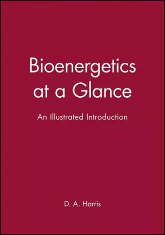 Bioenergetics at a Glance cover