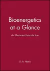 Bioenergetics at a Glance cover