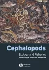 Cephalopods cover