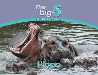 Hippo cover