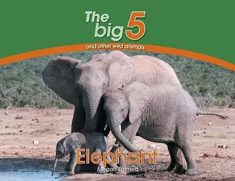 Elephant cover