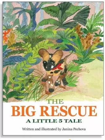 The Big Rescue cover