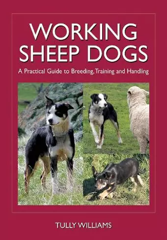Working Sheep Dogs cover