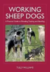 Working Sheep Dogs cover